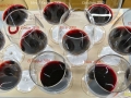 Cata de once grandes vinos de La Rioja en Degusta-La Rioja 2013